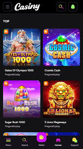 Exploring the Thrills of Casiny Casino