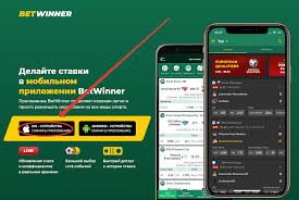 Ultimate Guide to Sports Betting Tips, Strategies, and Insights