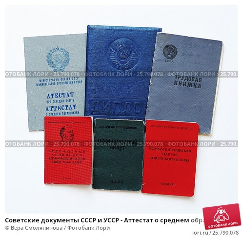 Купить диплом доктора наук Путь к успеху