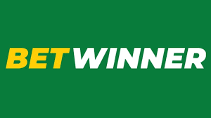 BetWinner APK File - Everything You Need to Know