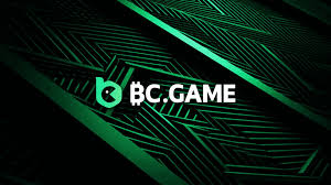A Comprehensive Guide to BC.Game Terms & Conditions