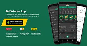 Exploring BetWinner A Comprehensive Guide to the Gambling Platform
