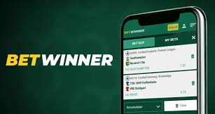 Exploring the BetWinner Platform A Comprehensive Guide -852295245 Exploring the BetWinner Platform A Comprehensive Guide -852295245