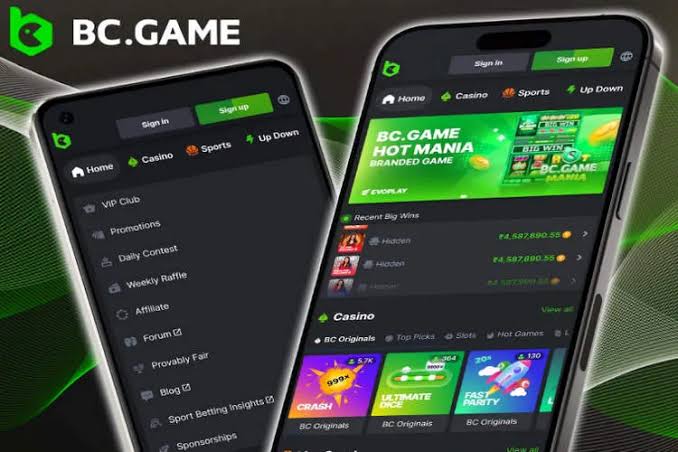 Ultimate BC.Game Bonus Guide Unleashing Maximum Rewards